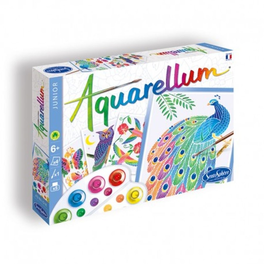 Arts & Crafts SentoSphere USA | Aquarellum In The Park Jr