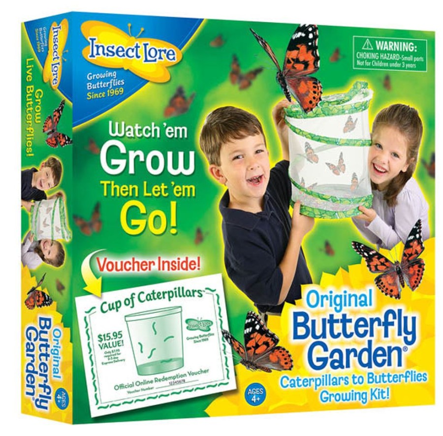 Seasonal Insect Lore | Insect Lore Live Butterfly Garden