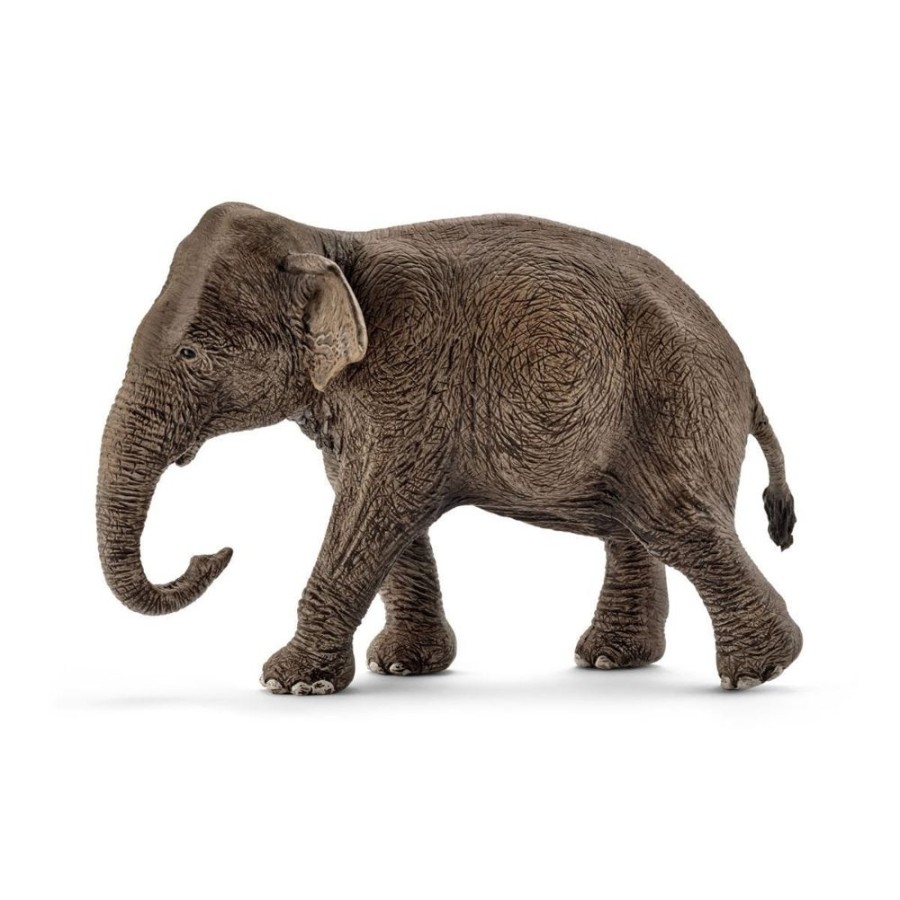 Figurines Schleich | Asian Elephant Female