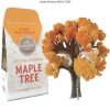 Science Copernicus Toys | Crystal Growing Maple Tree