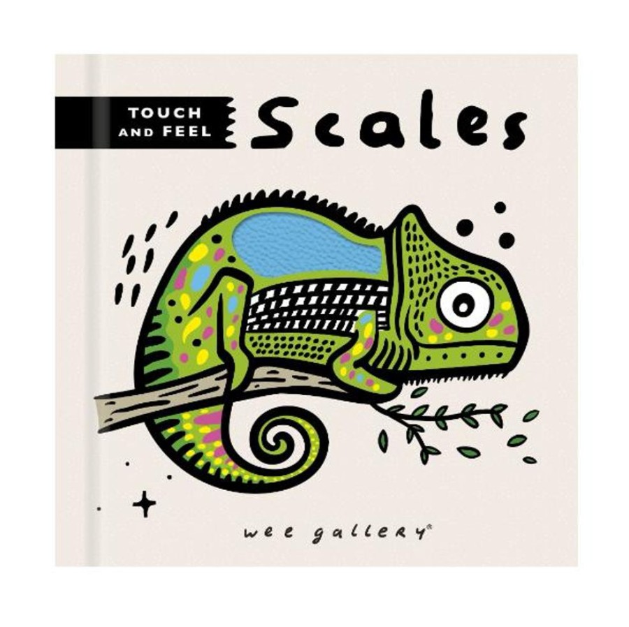 Books Hachette Book Group USA | Touch & Feel Scales