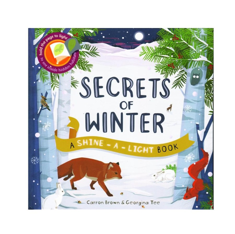 Seasonal Educational Development Corporation | Shine A Light - Secrets Of Winter