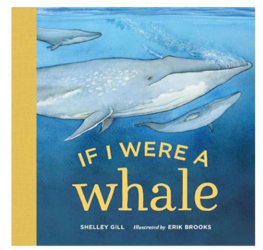 Books Penguin Random House LLC | If I Were A Whale Board Book