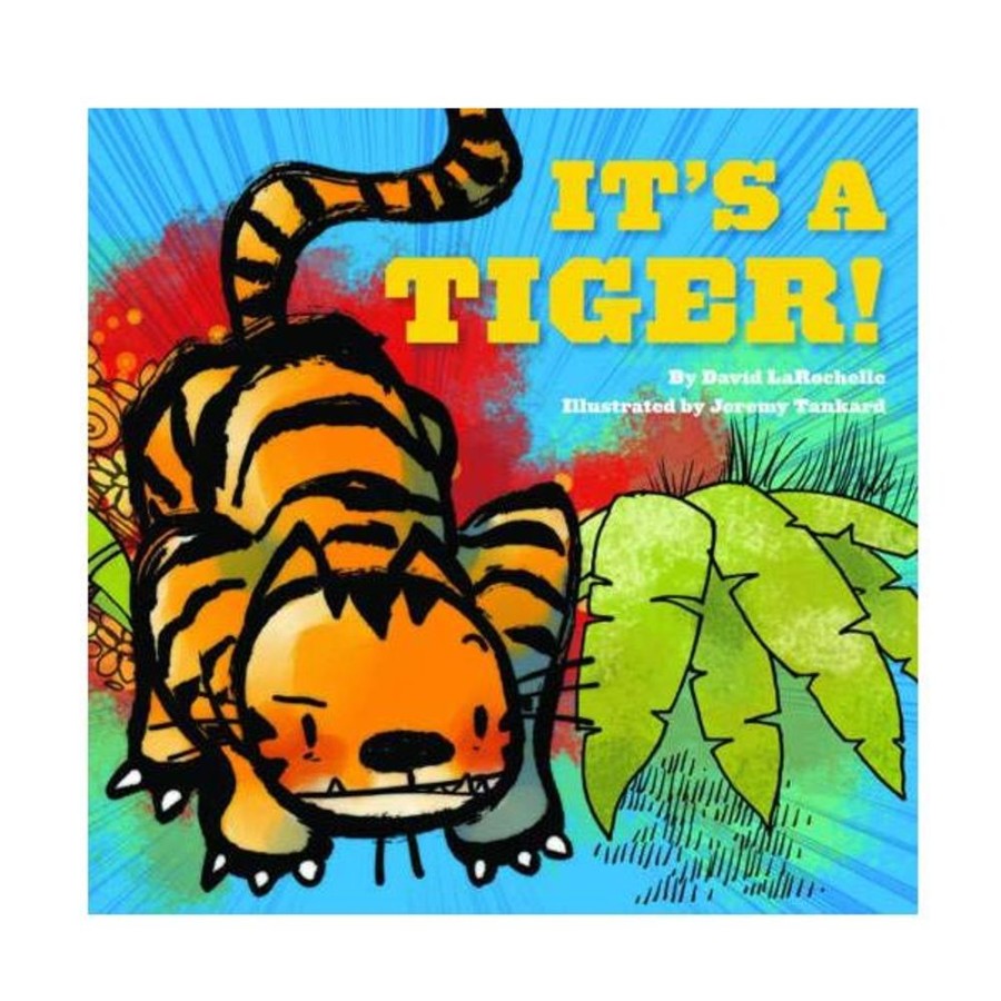 Books Hachette Book Group USA | It'S A Tiger!