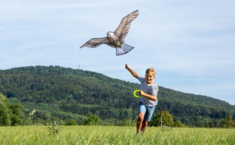 Active & Outdoor Habermaass Corp Inc. | Terra Kids Eagle Kite