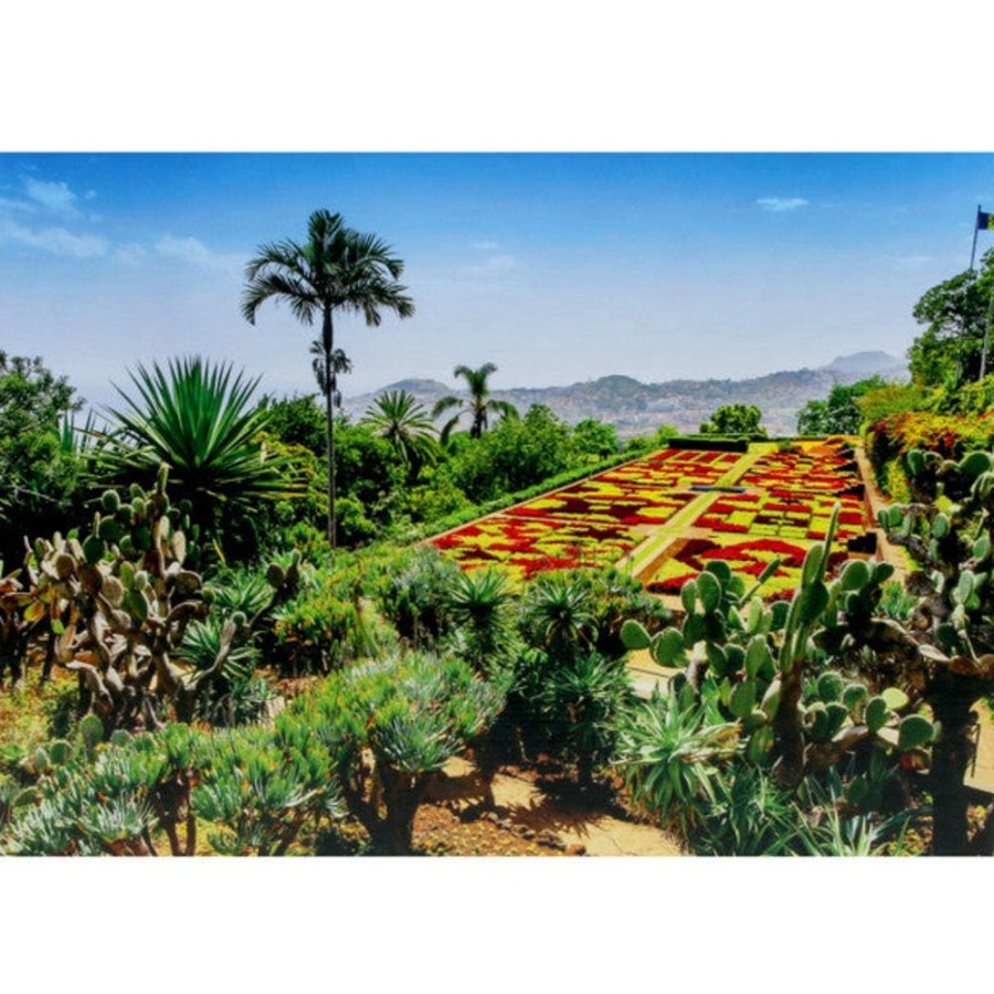 Puzzles Ravensburger | Botanical Garden Madeira 1000Pc Puzzle