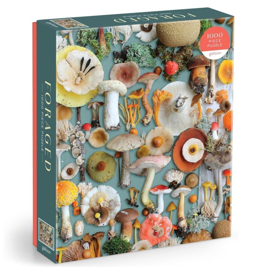 Puzzles Hachette Book Group USA | Foraged 1000Pc Puzzle