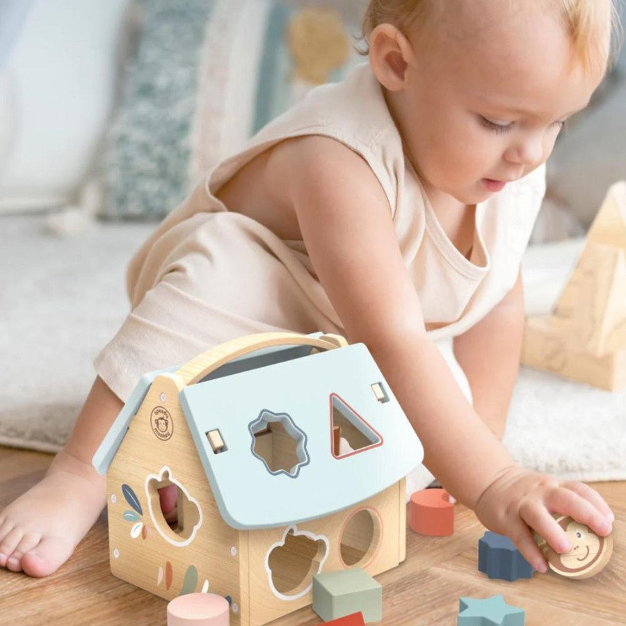 Infant & Toddler Speedy MonNew LLC | House Shape Sorter