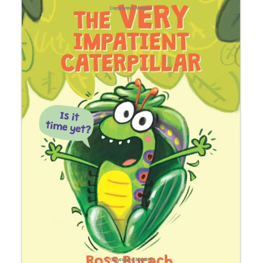 Books Klutz - Scholastic | Very Impatient Caterpillar